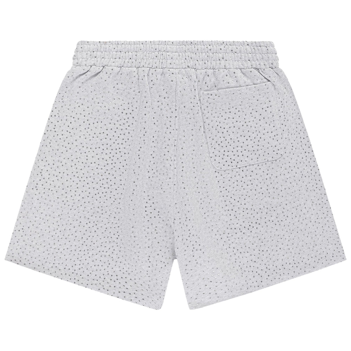 Sp5der Vvs Sweatshort 'Heather Grey' - posterior
