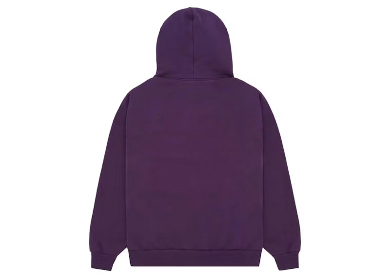 Sp5der Web Hoodie Purple - posterior
