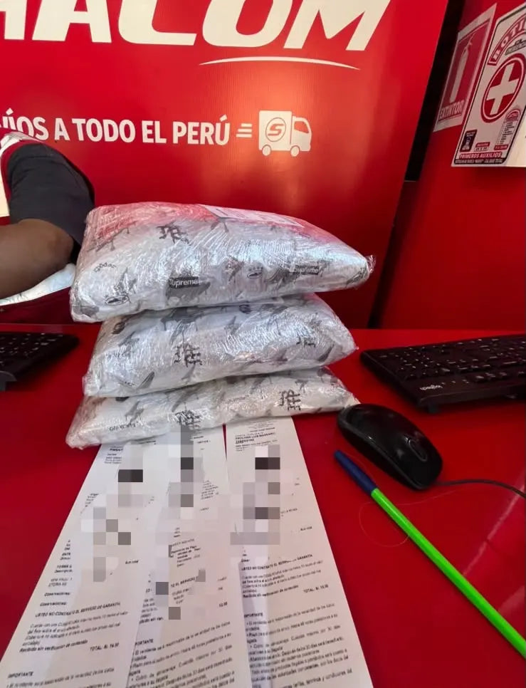 Pedido de PlugX Store enviado por Shalom